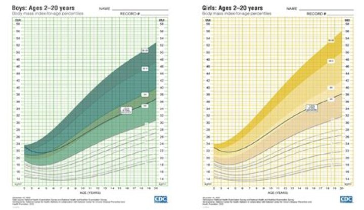 What percentile height is my child
