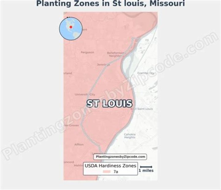 What planting zone is St Louis MO