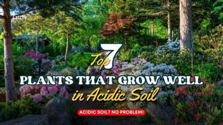 What plants grow well in Calgary