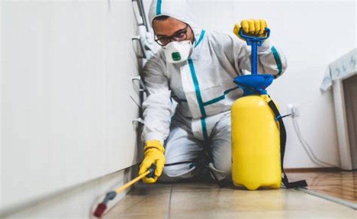What poison do exterminators use for mice
