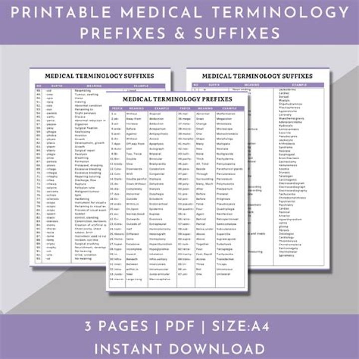 What prefix means half in medical terminology