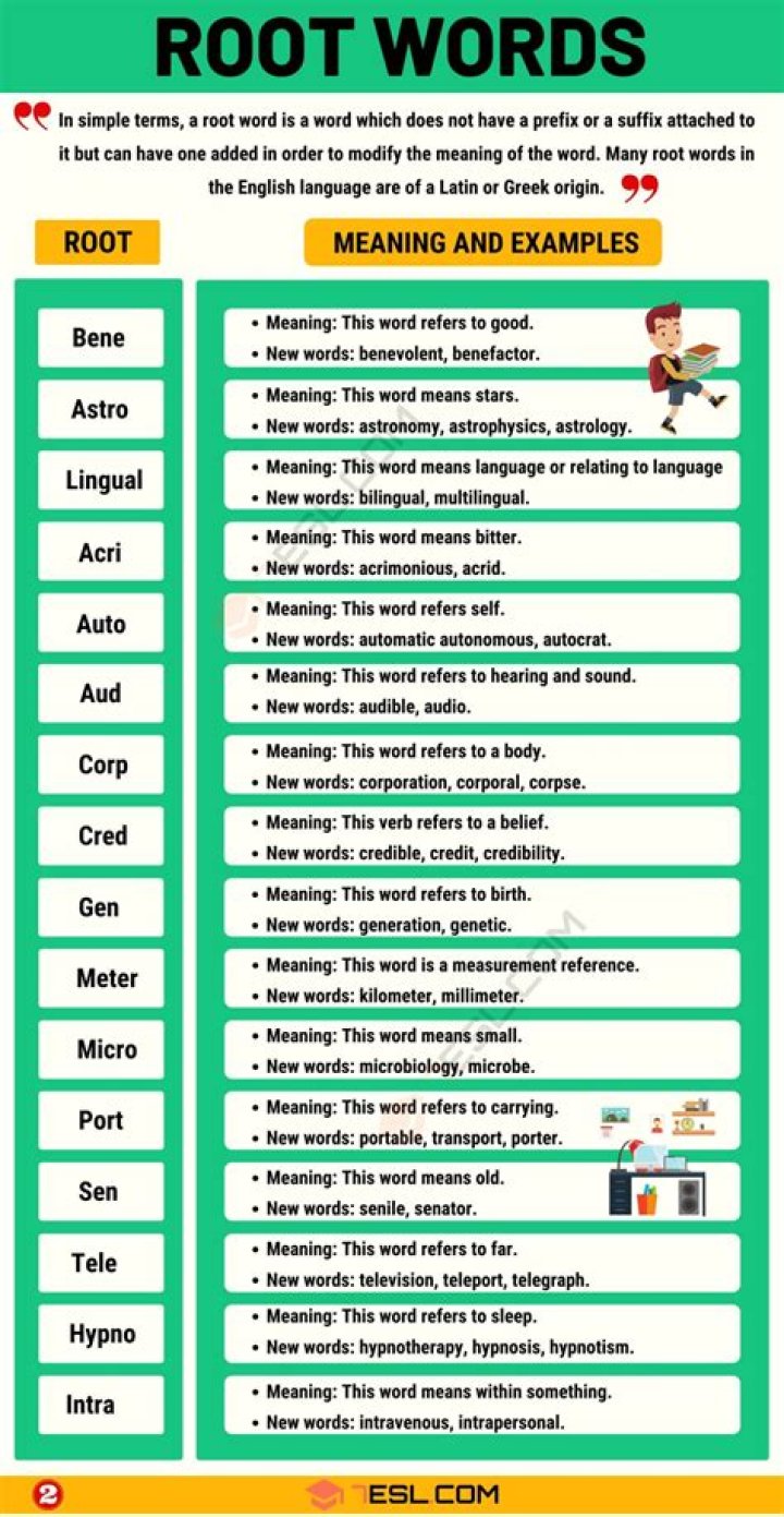 What root word means abdominal wall