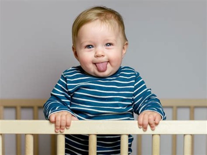 What should 9 month olds be eating