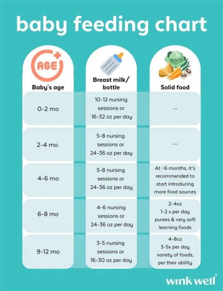 What should a 6 9 month old baby be eating