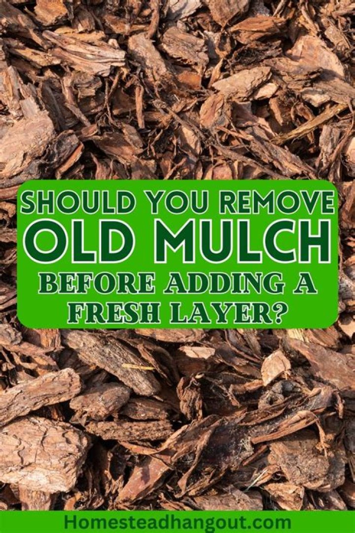 What should I do with old mulch