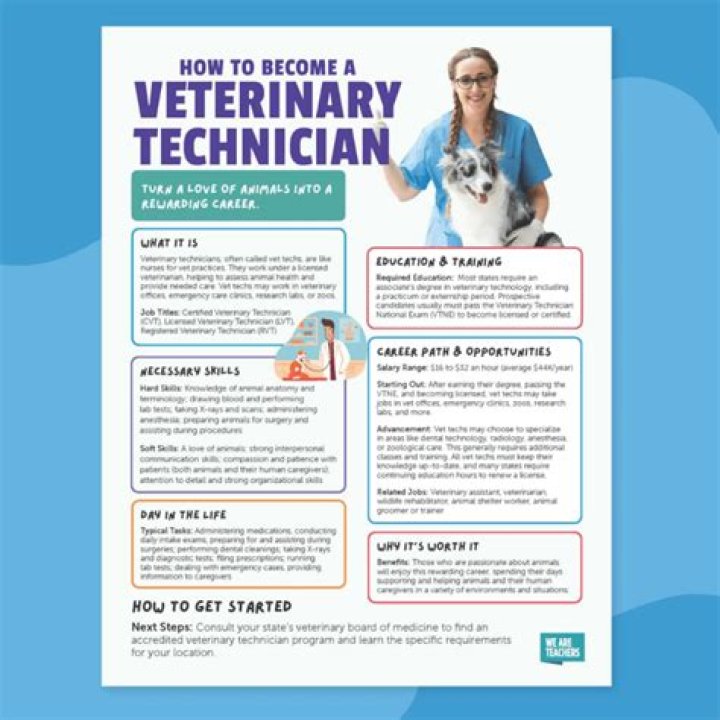 What should I major in to become a veterinary pathologist