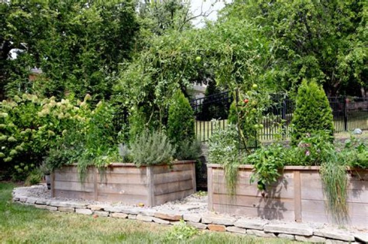 What should I put at the bottom of my raised garden bed