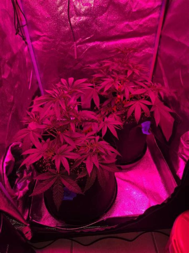 What should my PPM be