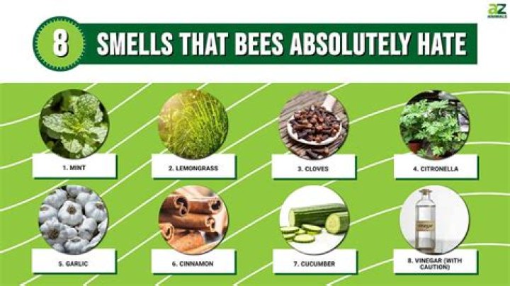 What smell do wasps like