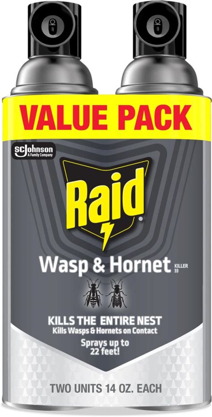 What spray kills hornets
