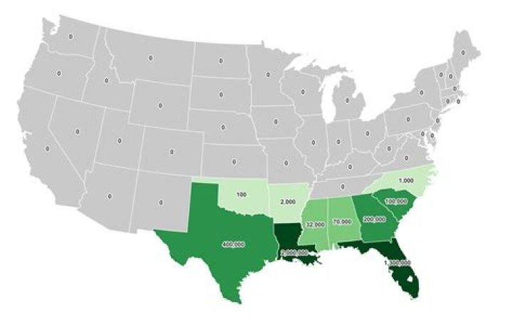 What states have 84 Lumber