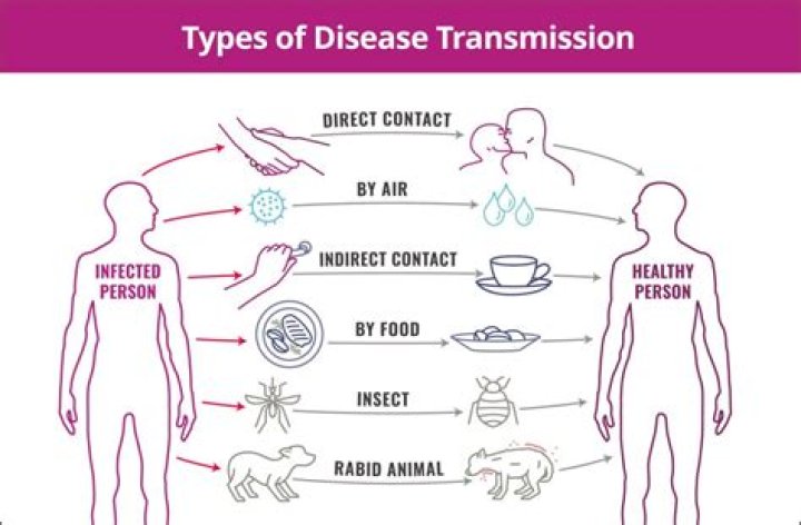 What steps will help to prevent disease transmission after giving care