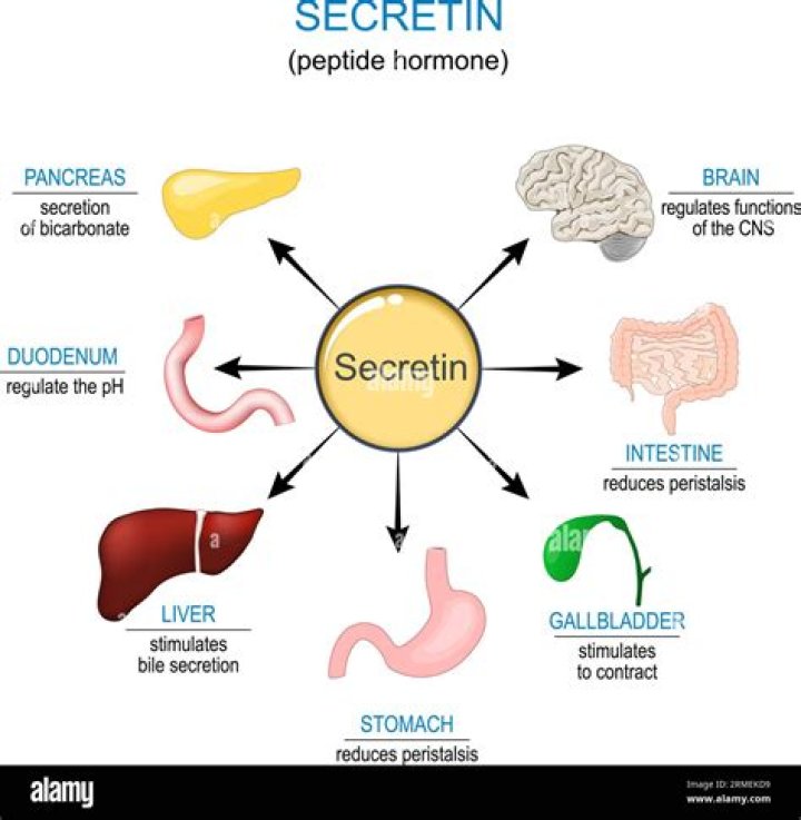 What stimulates pancreatic enzyme secretion