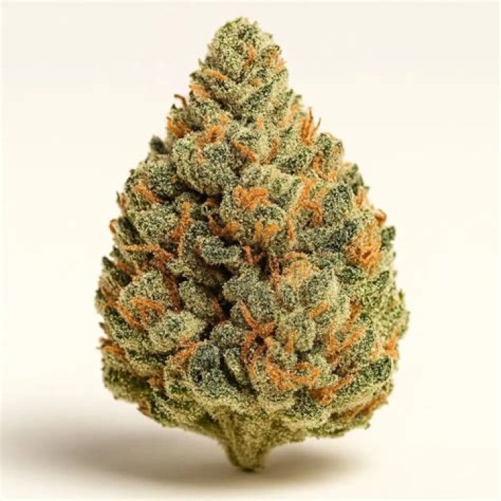 What strains make platinum cookies