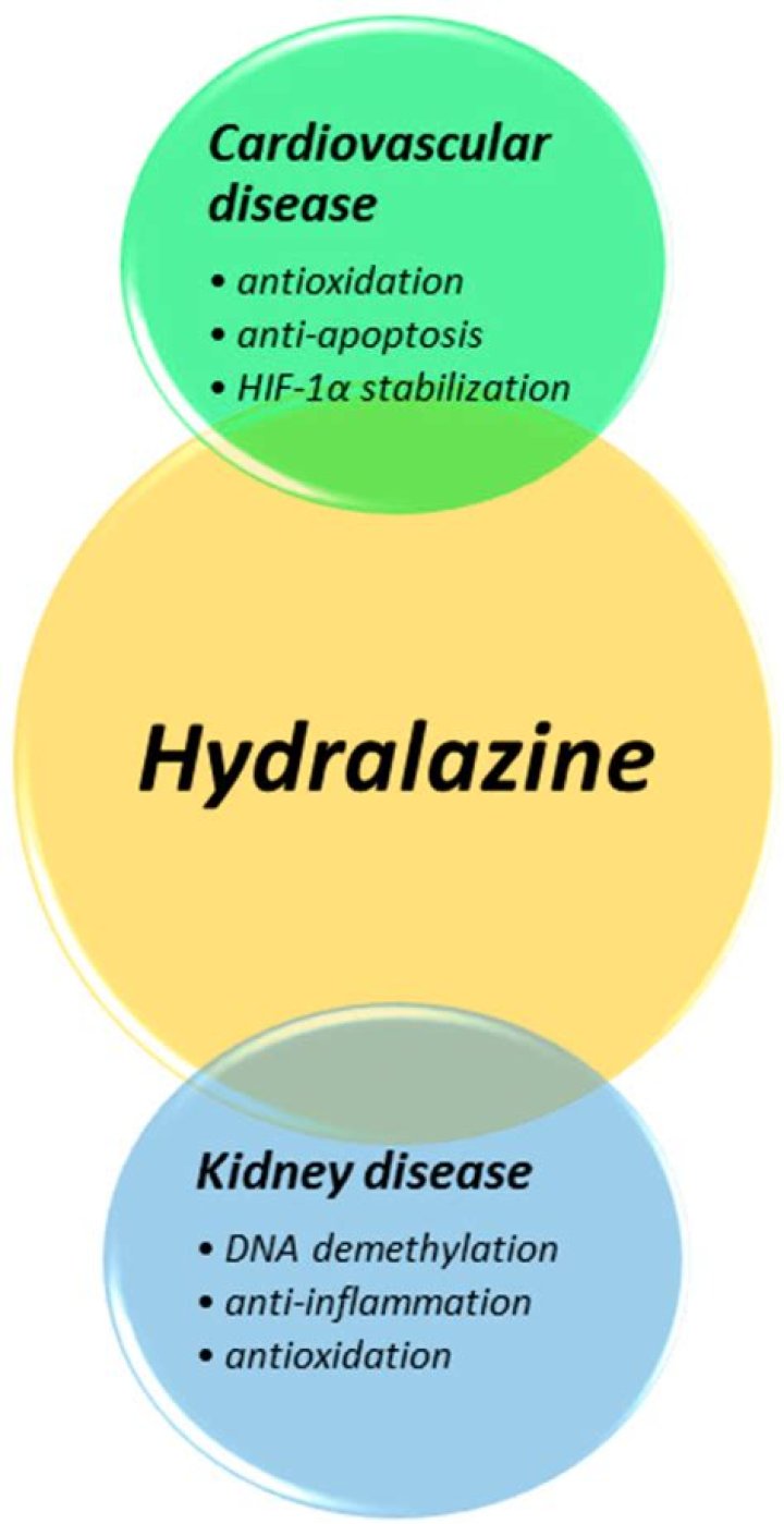 What strengths does hydralazine come in
