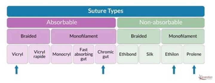 What Sutures are not absorbable