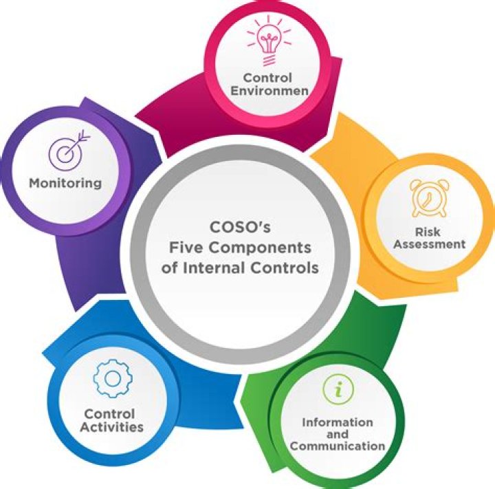 What three elements of control does the COSO Control Framework focus on