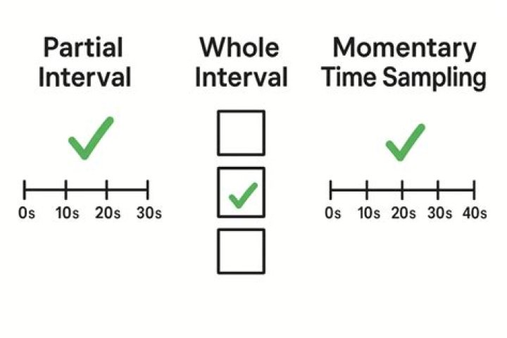 What time intervals should be used with momentary time sampling