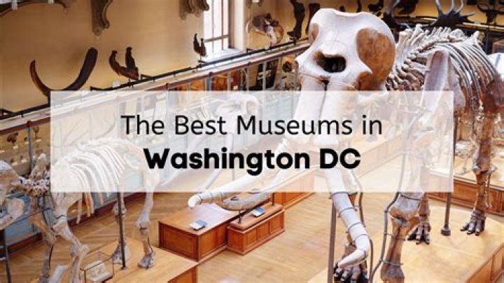 What to do in DC thats not museums