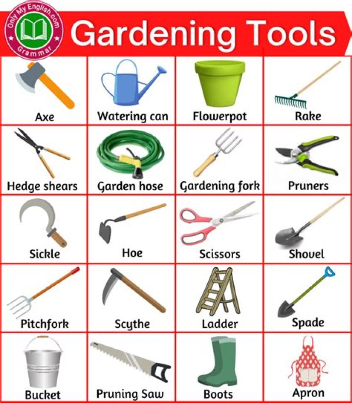 What tools do I need for lawn care
