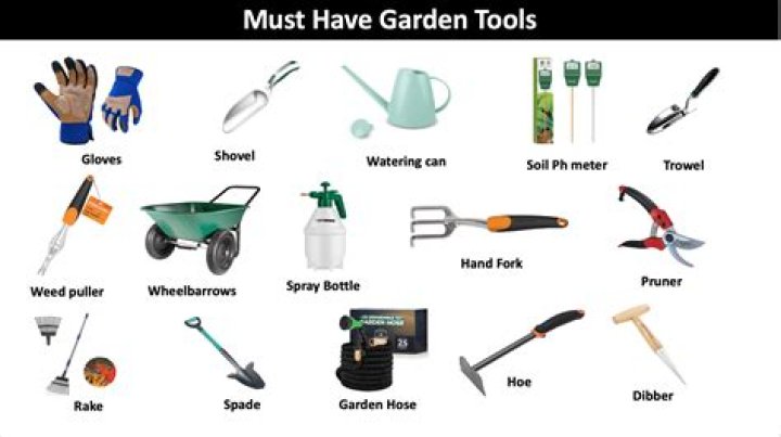 What tools do you need for lawn care