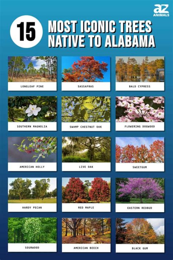 What trees are native to Mississippi
