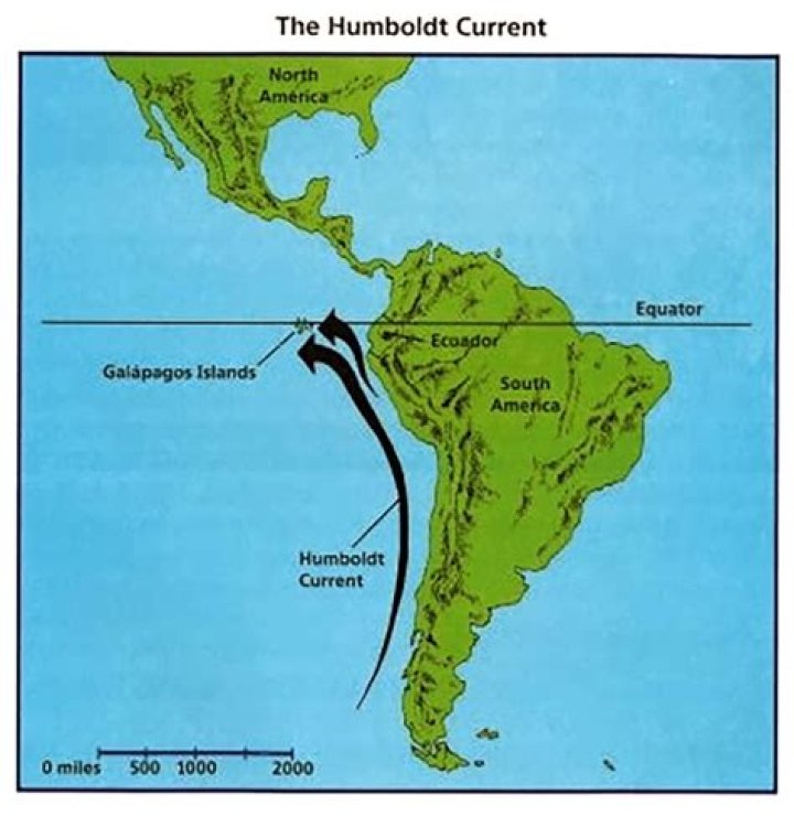 What type of current is the Humboldt Current