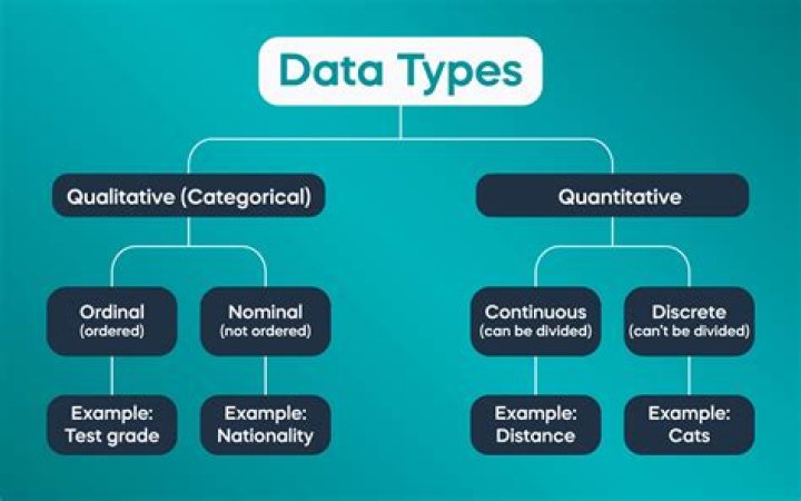 What type of data is sometimes called variable data