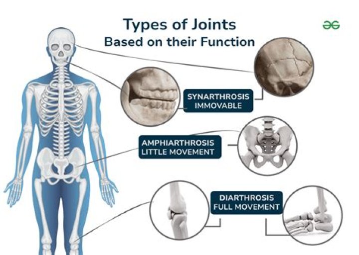 What type of joint is the axis and atlas