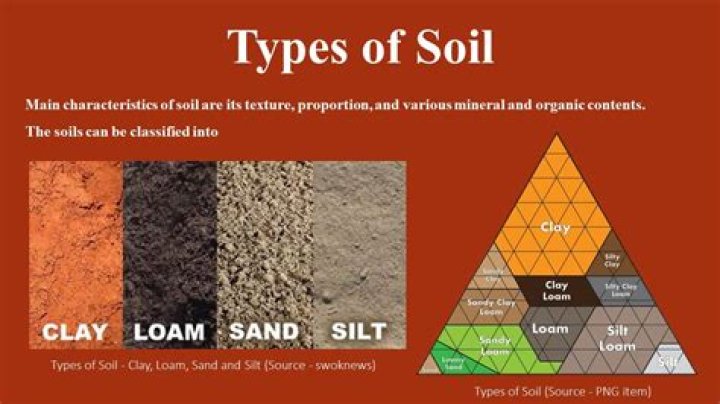What type of soil is in the Blue Ridge Mountains