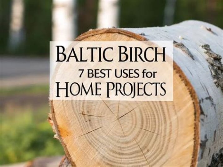 What type of wood is Baltic birch