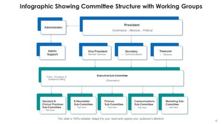 What type of work do committees in Congress do