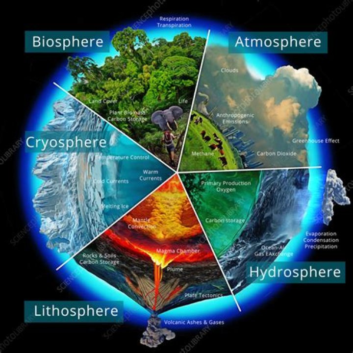 What types of scientists study the biosphere