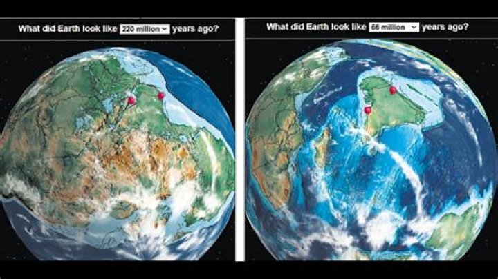 What was Earth like before plants