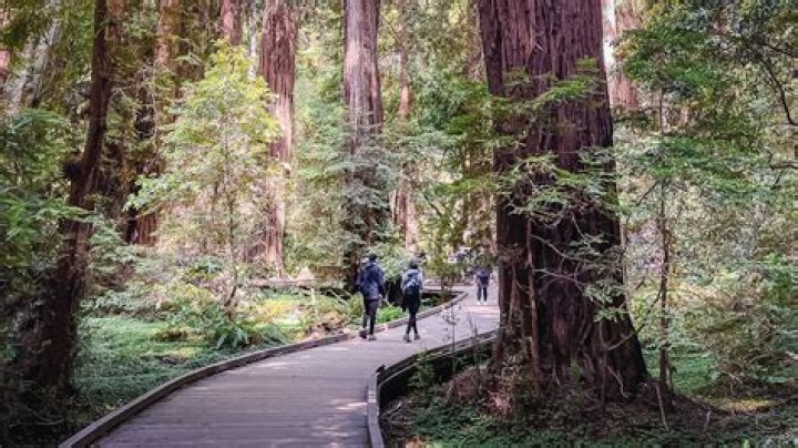 What was filmed in Muir Woods