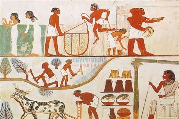 What was life like for peasants in ancient Egypt