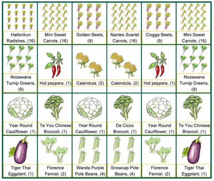 What was planted in Victory Gardens