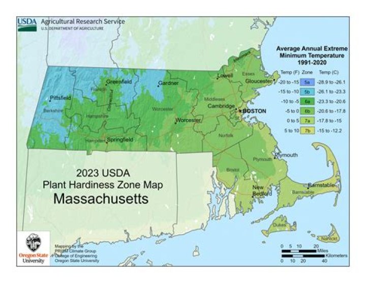 What was the climate in Massachusetts colony