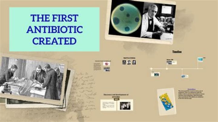 What was the first antibiotic discovered quizlet