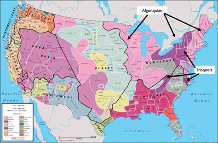 What was the Iroquois food