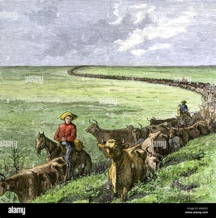 What was the longest cattle drive