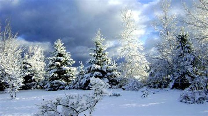 What was the Southern colonies climate