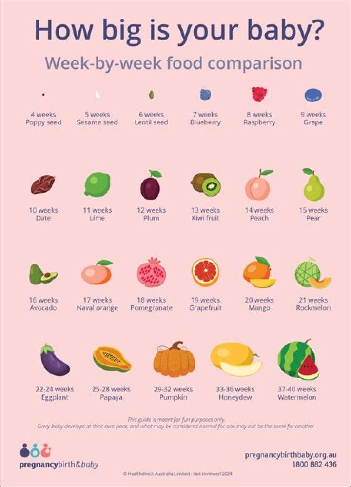 What week is baby the size of a lime