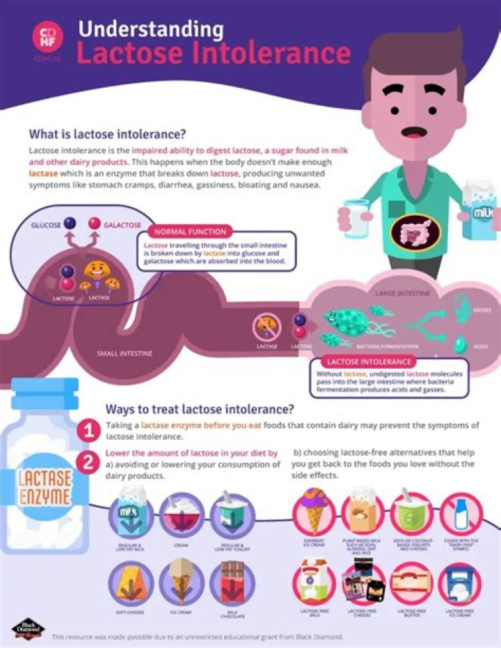 What will increase in your blood will show that you can digest lactose the sugar in milk