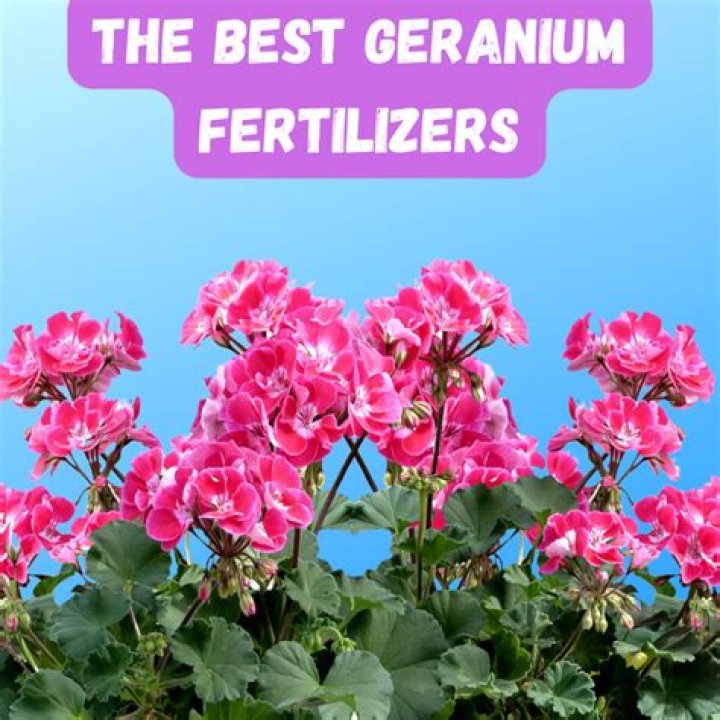 Whats the best fertilizer for lemon trees