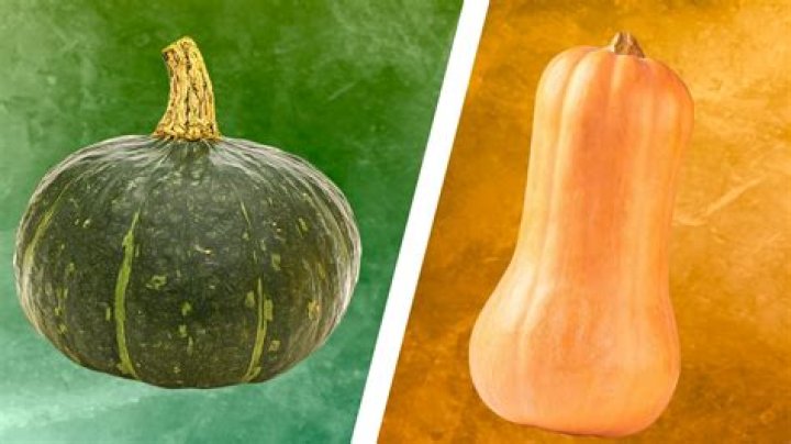Whats the healthiest squash