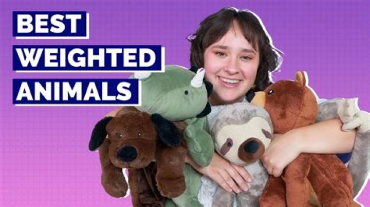Whats the most popular stuffed animal
