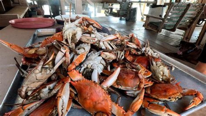 When can you catch crabs in Louisiana
