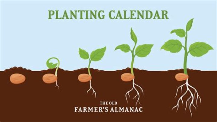 When can you start planting in Washington state