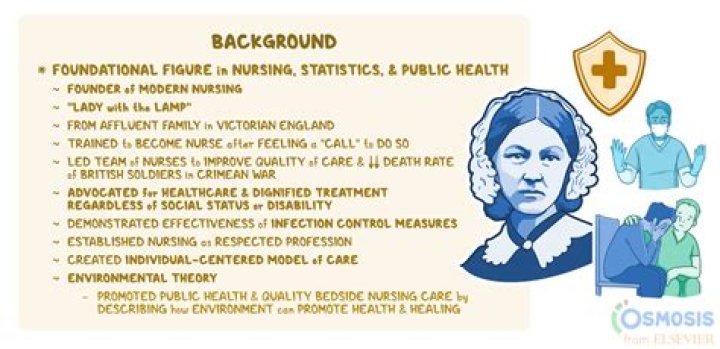 When did nursing theory begin